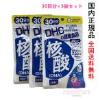 DHC 核酸（DNA）90日分　30日分×3袋セット　賞味期限2026年11月以降 【国内正規品・ネコポス送料無料】