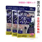 DHC 速攻ブルーベリー 90日分　30日分×3袋セット　賞味期限2026年11月以降【国内正規品・ネコポス送料無料】