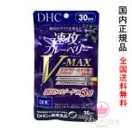 DHC 速攻ブルーベリー V-MAX 30日分 60