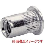 Rapid 5001482 ブラインドナット M8×1.25 20個入