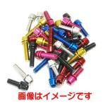 [ почтовая доставка выбор возможно ]FF-R нержавеющая сталь цвет болт M5×20 розовый TL-109F-520