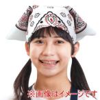 アーテック バンダナ 三角巾 白 50577