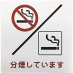 【メール便選択可】光 KP101-8 分煙しています 100×100×1.5mm