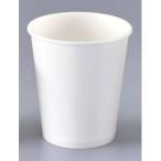 EBM 紙コップ 白無地 5オンス 100個入 66 江部松商事