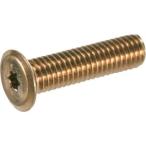 トラスコ中山 B187-0316 ヘックスローブ超極低頭ねじ ステンレス ライトブロンズ M3×16 10本入
