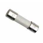 共立電気計器 8929 ヒューズ 16A/250V Φ5×20mm