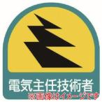 ユニット 851-50 ステッカー 電気主任技術者 2枚1シート 35X35