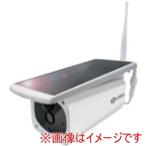 ショッピング防犯カメラ ダイトク GS-SLB02 防犯カメラ エコ アイ02SE