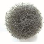 アルゴファイル SBP2003 バフポリッシャー