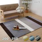 イケヒコ ラグ カーペット マット 3畳 フランネル ブラウン 約200×250cm（ホットカーペット対応）