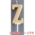 カメヤマ アルファベットキャンドル パステル Z
