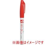 寺西化学工業 B-M700-T2 No.700 箱売10本セット 赤