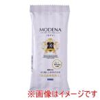 【メール便選択可】パジコ 樹脂粘土 モデナホワイト 60g