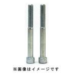 キジマ HD-04278 ライザーボルト 1/2-13×5インチ メッキ 2ホンSET KIJIMA