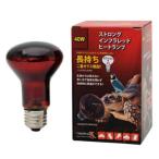ゼンスイ ストロング インフラレッドヒートランプ 40W
