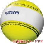 ハタチ BH3851-45 ナビゲーションボール イエロー HATACHI
