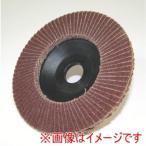 柳瀬 SPA9 スパークディスク100X15A180