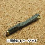 【メール便選択可】ヴァンフック レザーリーチ 1.2g グリーン LL-15BL