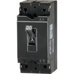 テンパール B1EA05 工業 B-1EA 5A 安全ブレーカー 機器組込用 産業用