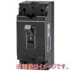 テンパール工業 B-1EA 20A 安全ブレーカ