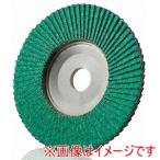 イチグチ TD7515-Z-80 テクノディスクZ 