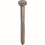 ダイドーハント 40470 ステンレス コーチスクリュー 10x90 17頭  15本