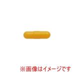 【メール便選択可】アネックス HBN-10 交換用先端ネジキャッチ10mm用 Anex 兼古製作所