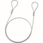 【メール便選択可】eセキュリティ(ワイヤー、1.0m・3.5mm) SLE-1W-1