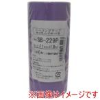 カモ井加工紙 SB229P和紙テープ小箱21ミリ