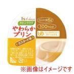 ハウスギャバン 528204 091241 やさしくラクケア やわらかプリン カスタード味 63g