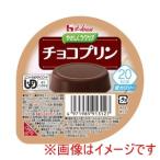 ハウスギャバン 528206 091312 やさしくラクケア 20kcalチョコプリン 60g