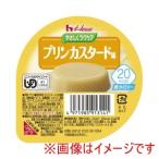 ハウスギャバン 528207 091314 やさしくラクケア 20kcalプリンカスタード味 60g