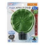 ジェックス メダカ水景 メダカのお守り草 ハス 8153940