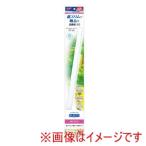 ジェックス クリア LED フラッティ 600 ホワイト