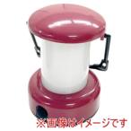 グリーンオーナメント LED ランタン 35770