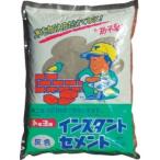 トーヨーマテラン 5105 インスタントセメント灰 4kg 1個入