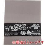 イチネンアクセス 研磨スポンジ細目