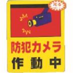 【メール便選択可】光 RE801-2 防犯カメラ作動中0.2×80×100