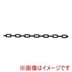 ミツギロン プラチェーン3mカット SF-91 DB ダークブラウン