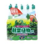 ヨーキ産業 活力アンプル 観葉植物用 35ml 10本入
