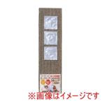 シーズイシハラ ミュウミュウ つめみがき 両面使える 3個パック