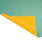 [ бесплатная доставка ]eba новый EKF193 пол сиденье двухцветный 0.52 EVERNEW