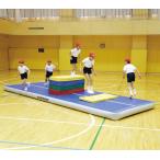【送料無料】エバニュー ETE099 エアートラックマット ２００×６００×２０ EVERNEW