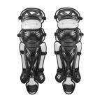 [ бесплатная доставка ] Mizuno Mizuno Pro для софтбола rega-z( бейсбол ) черный × серебряный Mizuno 1DJLR16009
