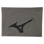 [ бесплатная доставка ] Mizuno BIG Logo защита горла "neck warmer" alloy серый Mizuno 32JY9706 05