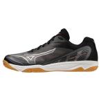 【送料無料】ミズノ ミズノフライ(バレーボール)（ユニセックス） ブラック×シルバー×レッド Mizuno V1GA233001