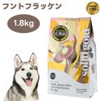 ソリッドゴールドフントフラッケン1...