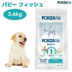 デイリーフォルツァ パピー フィッシュ
