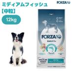 デイリーフォルツァ ミディアム フィッシュ
