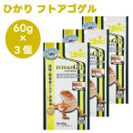  Kyorin hikari...ftoago гель 60gx3 шт . body для ftoagohige ящерица насекомое овощи еда ящерица 